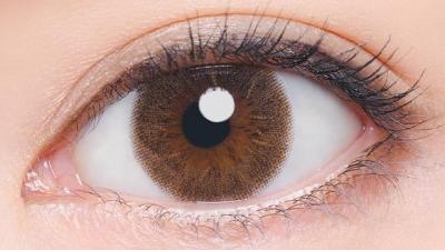 301 ブラウン 装用画像