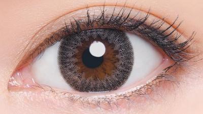 101 ダークブラウン 装用画像