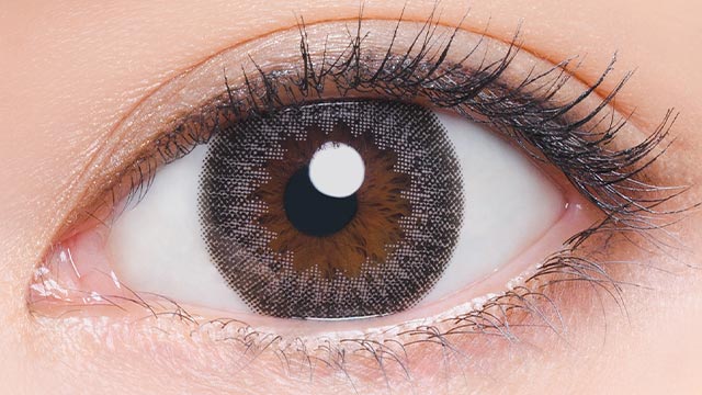 イメージモデルの度あり度なしワンデーノックノック ワンデー 101 ダークブラウンの装用画像
