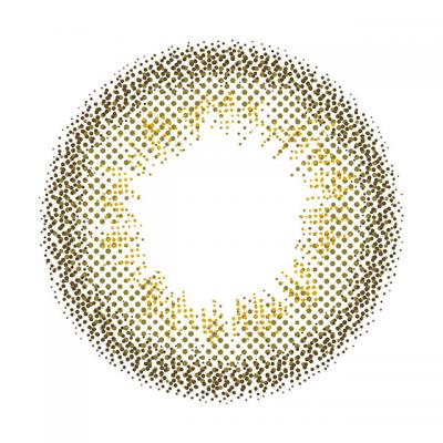 555 ライトブラウン レンズ画像