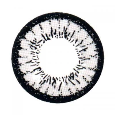 エッジグレー14.5 レンズ画像