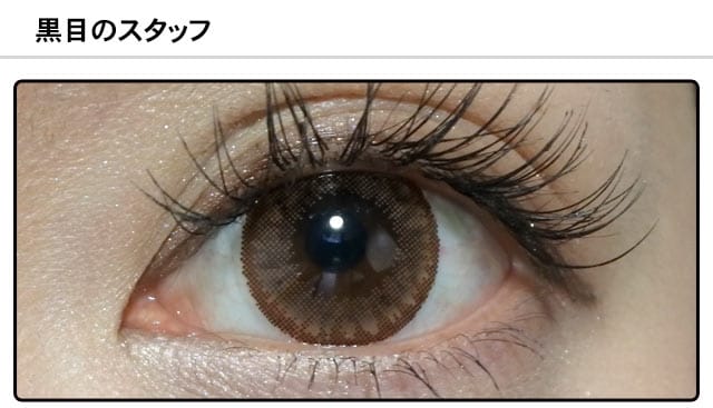 スタッフ1の装着画像