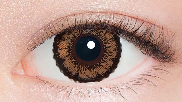 リトルハニップ O-4マロンブラウン 度あり