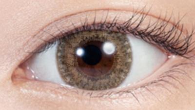 クリームベージュ 装用画像