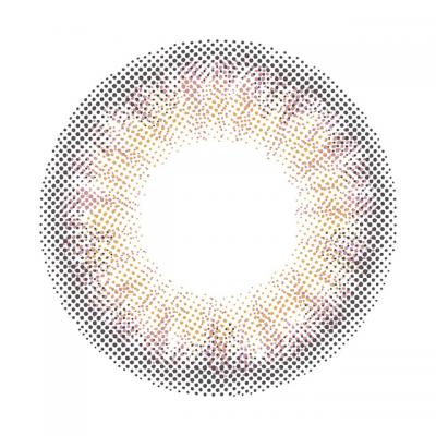 フラミンゴ レンズ画像