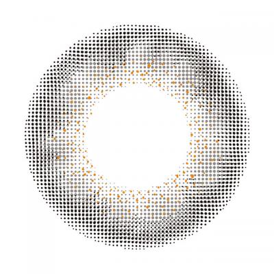 ラスティグレー レンズ画像