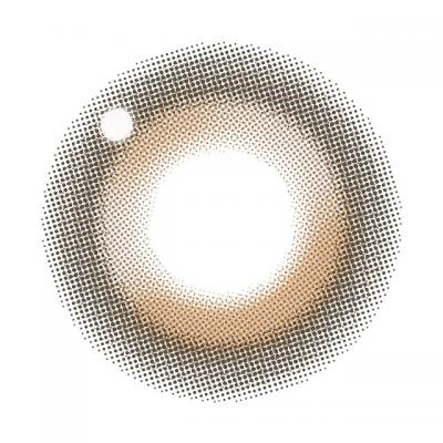 ドリーミーベア レンズ画像