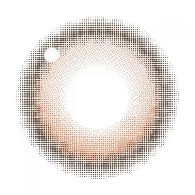 テディハグ レンズ画像