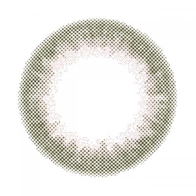 コットンオリーブ レンズ画像