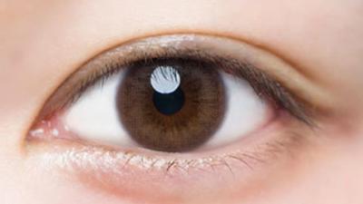 クォーツブラウン 装用画像