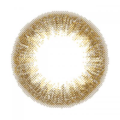 レディーカーキ レンズ画像