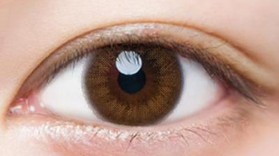 ヌーディーブラウン 装用画像