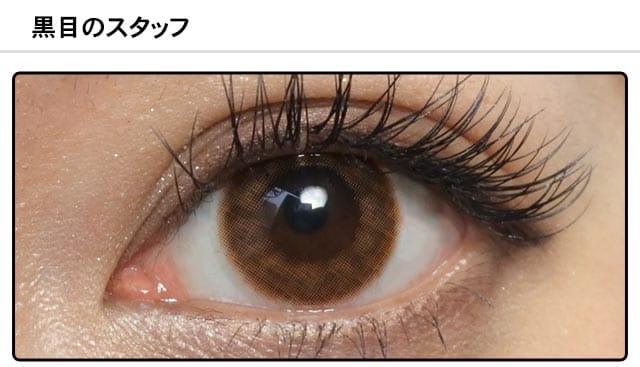 スタッフ0の装着画像