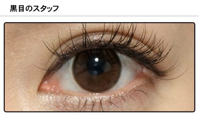 スタッフ0の装着画像