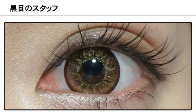 スタッフ1の装着画像