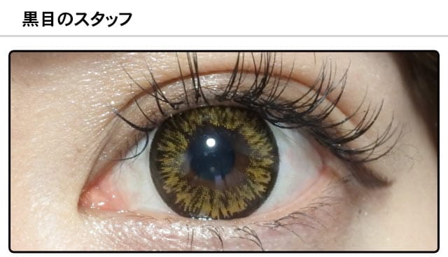 スタッフ0の装着画像