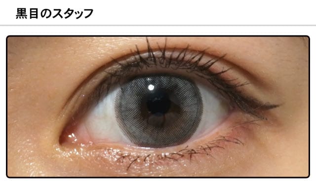 スタッフ0の装着画像