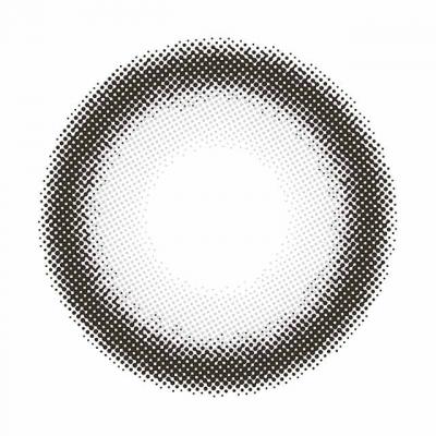 ベイビーグレー レンズ画像