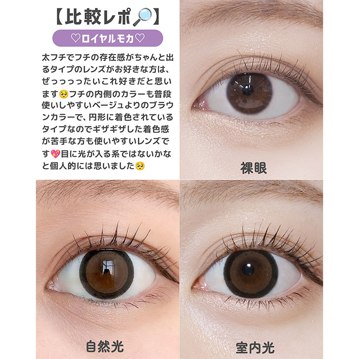 ミシュー ロイヤルモカ(6)