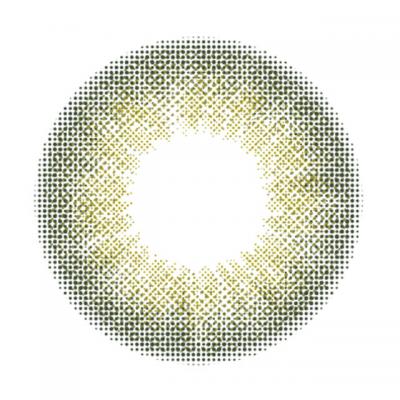 サファリグリーン レンズ画像