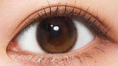 ダスティアモ 装用画像