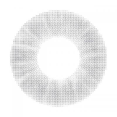 スレートグレイ レンズ画像