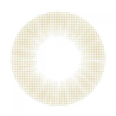 サーモン レンズ画像