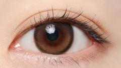 ミフェ エクラブラウン