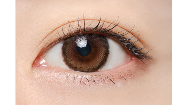 ミフェ エクラブラウン(2)