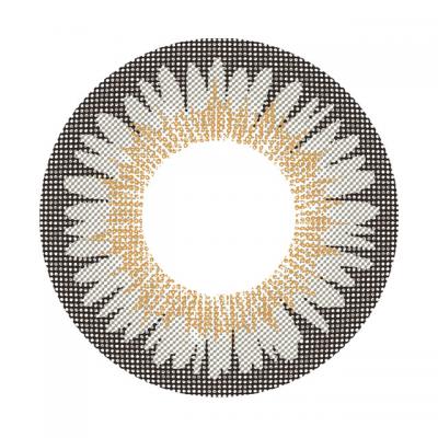 スリートーングレー レンズ画像