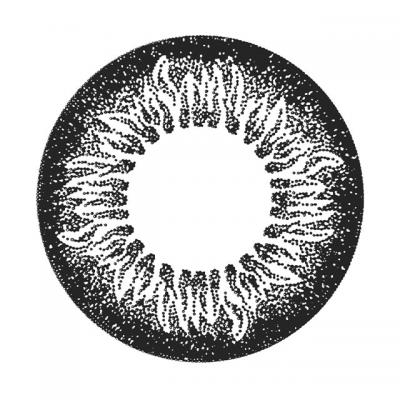 ブラックサークル レンズ画像