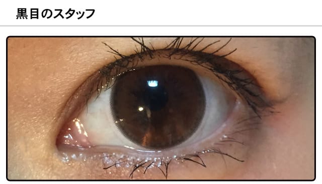スタッフ0の装着画像
