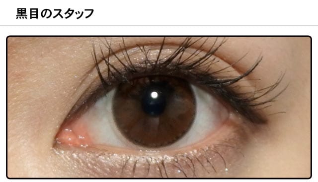 スタッフ1の装着画像