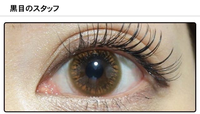 スタッフ1の装着画像