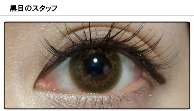 スタッフ1の装着画像
