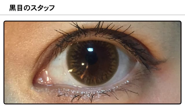 スタッフ0の装着画像