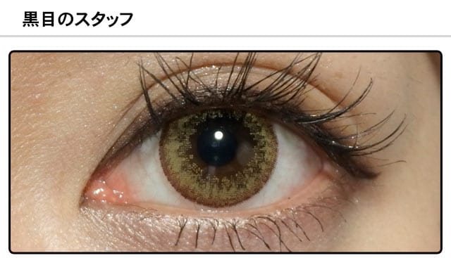 スタッフ1の装着画像