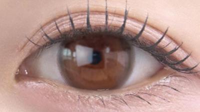 シフォンブラウン 装用画像