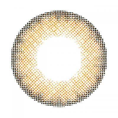 オスカーチョコ レンズ画像