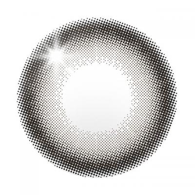 ボンボングレー レンズ画像