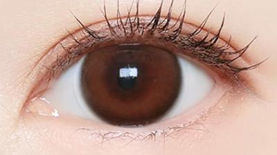 メローブラウン 装用画像