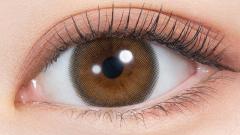 ミレディ ヒロインブラウンの装用画像