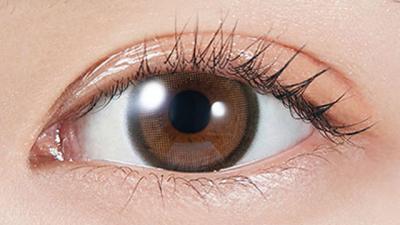 ブラウンバニー 装用画像