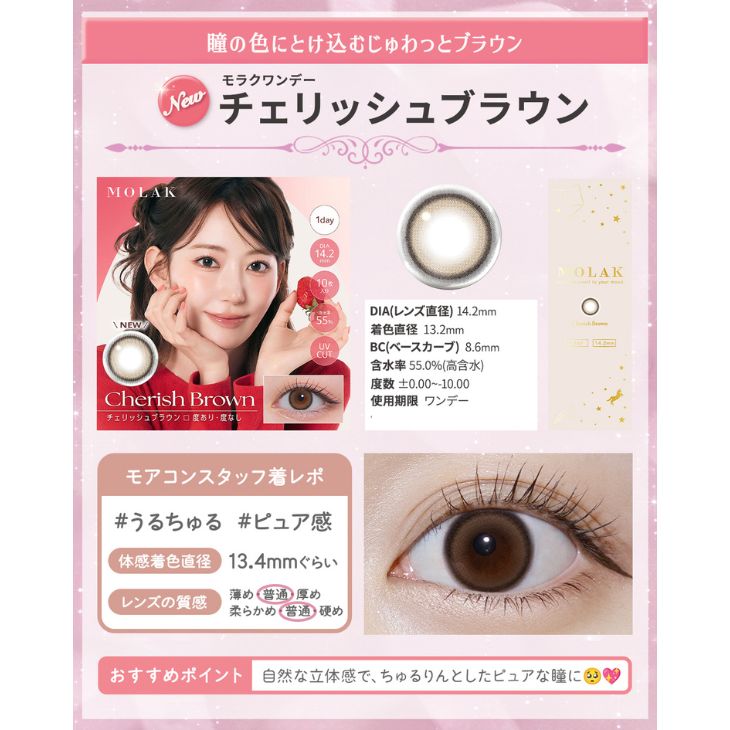 モラク ワンデー チェリッシュブラウン(MOLAK 1day Cherish Brown)宮脇