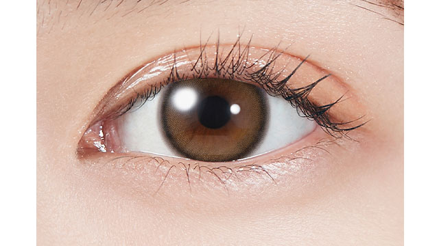 モラクワンデー チェリッシュブラウン(2)