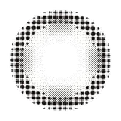 グレーバニー レンズ画像