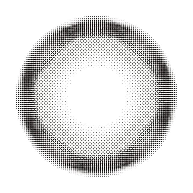 モラクワンデー グレーバニー(3)