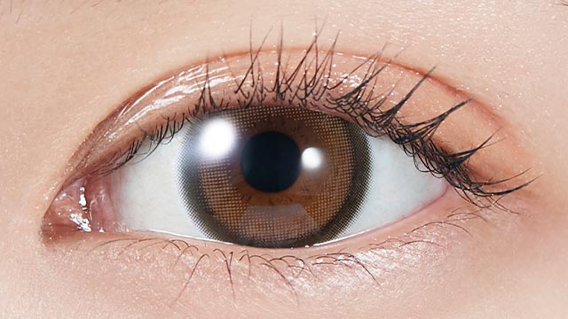 モラク トーリック ブラウンバニー CYL-0.75の装用画像