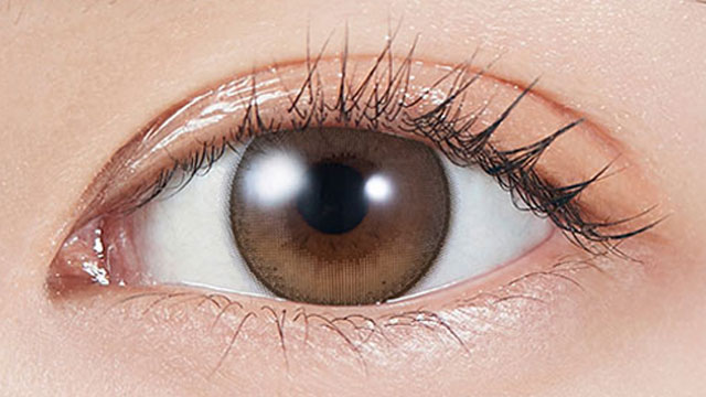 モラク トーリック ドーリッシュブラウン CYL-0.75の装用画像