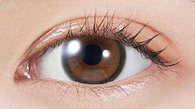 ブラウンバニー 装用画像